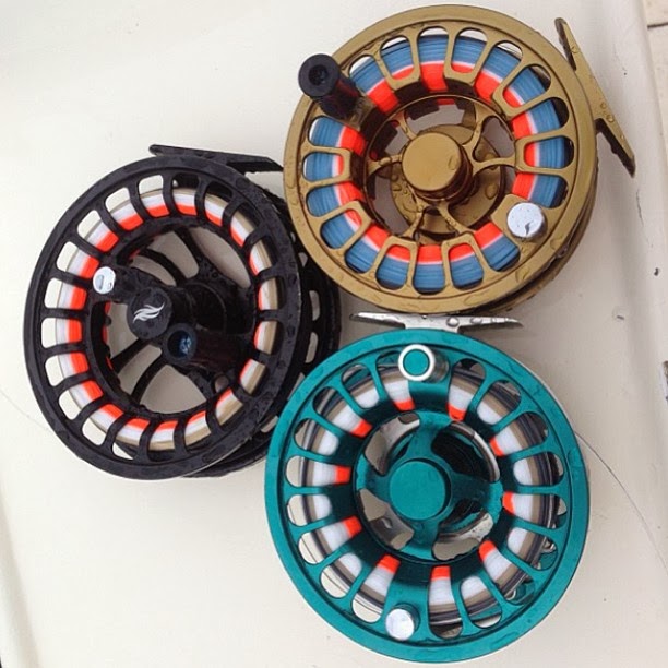 Tight Lined Tales of a Fly Fisherman Fly Product...The Allen Fly