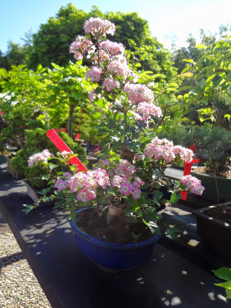 Electronicpartner Deutschland Ep De Onlineshop