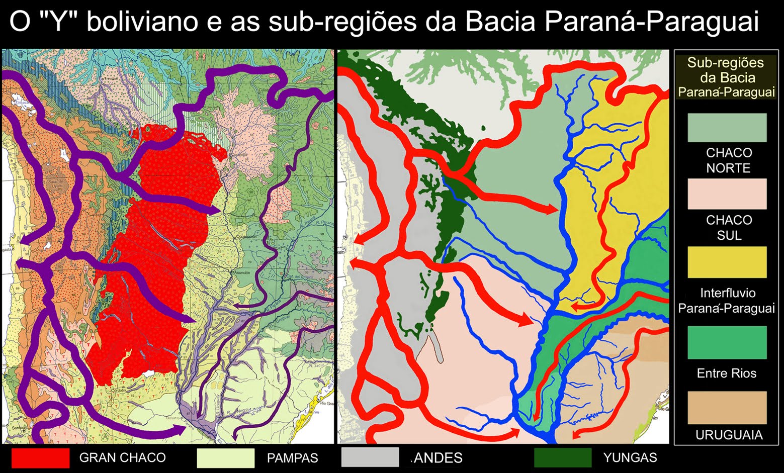 O "Y" boliviano e as Sub-regiões Ecológicas da Bacia Paraná-Paraguai