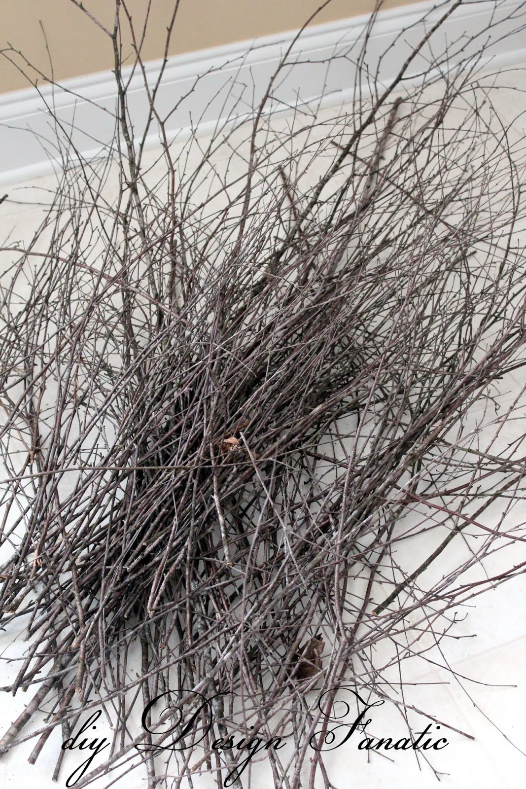 Here�s the pile of twigs I�ve been collecting over the last several