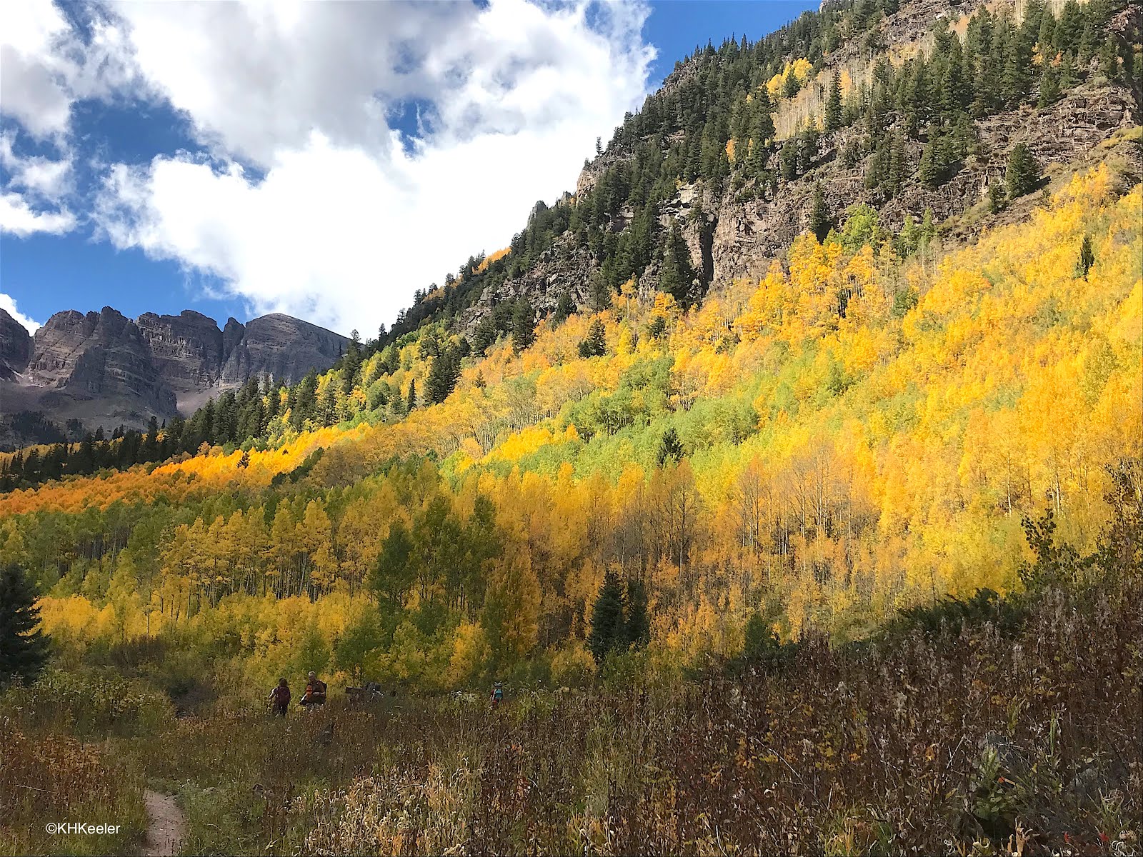A Wandering Botanist Visiting Colorado Fall Mountain Scenes