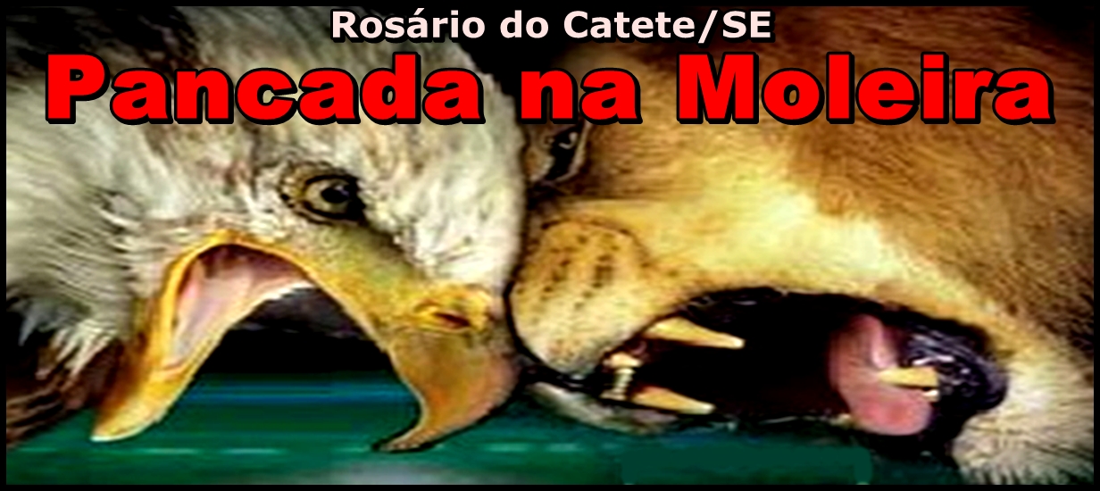 Pancada Na Moleira