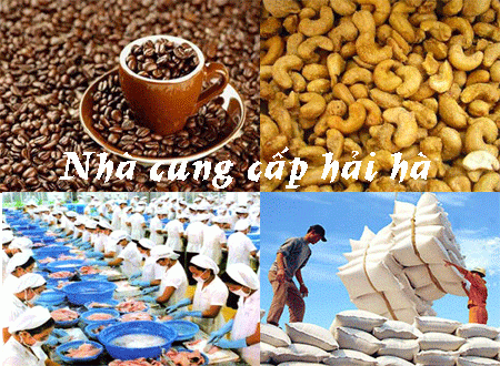 Nhà cung cấp hải hà