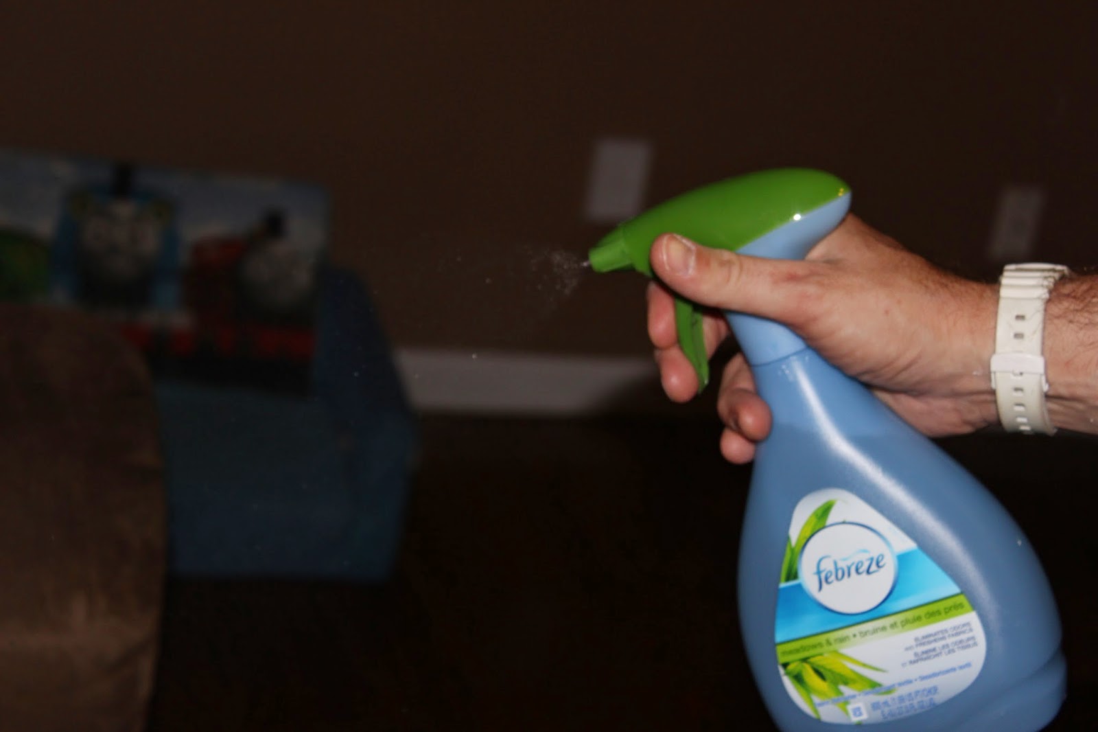Trying To Go Green The Febreze Noseblind Challange & HUGE Giveaway 