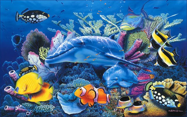 Animales marinos HD - Imagui