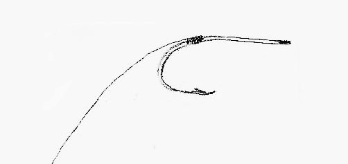 Drawing showing a 6 to 8 inch length of 25 pound leader tied in at the hook bend.