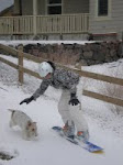 Laura backyard boarding with Shelby Jane