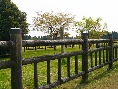 宮崎県・西都原古墳群　天皇皇后両陛下・お手植えの木