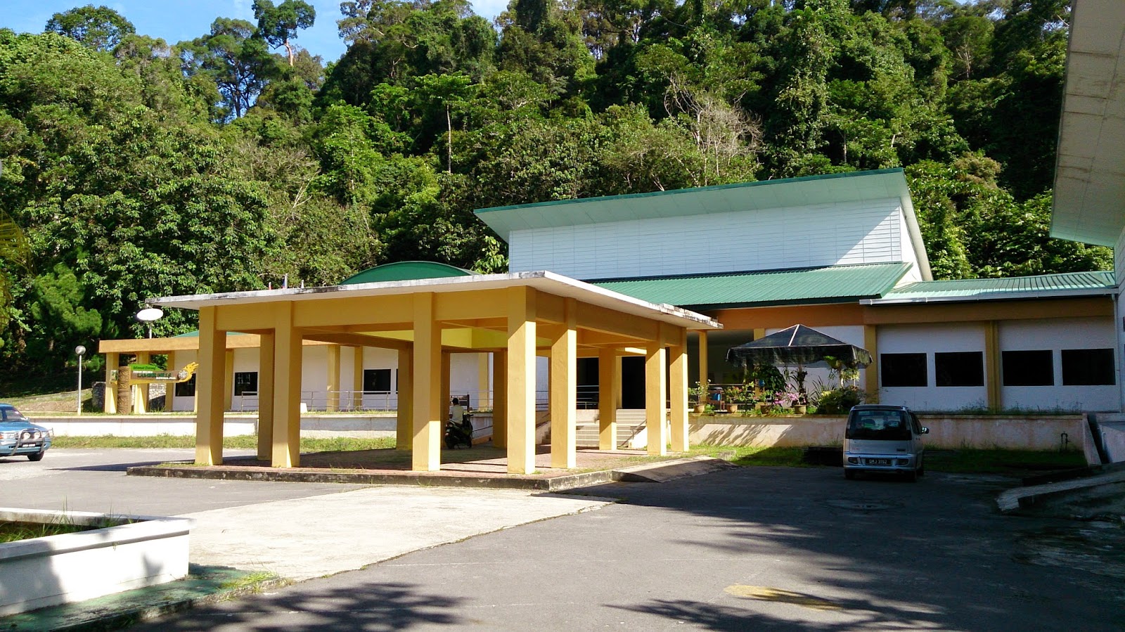 Titian Perjalanan Hidup Anak Perantau Taman Negara Lambir Sarawak