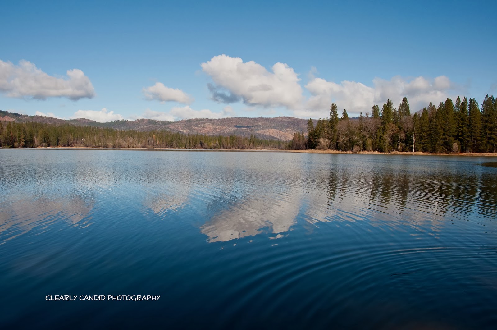 A Clearly Candid View