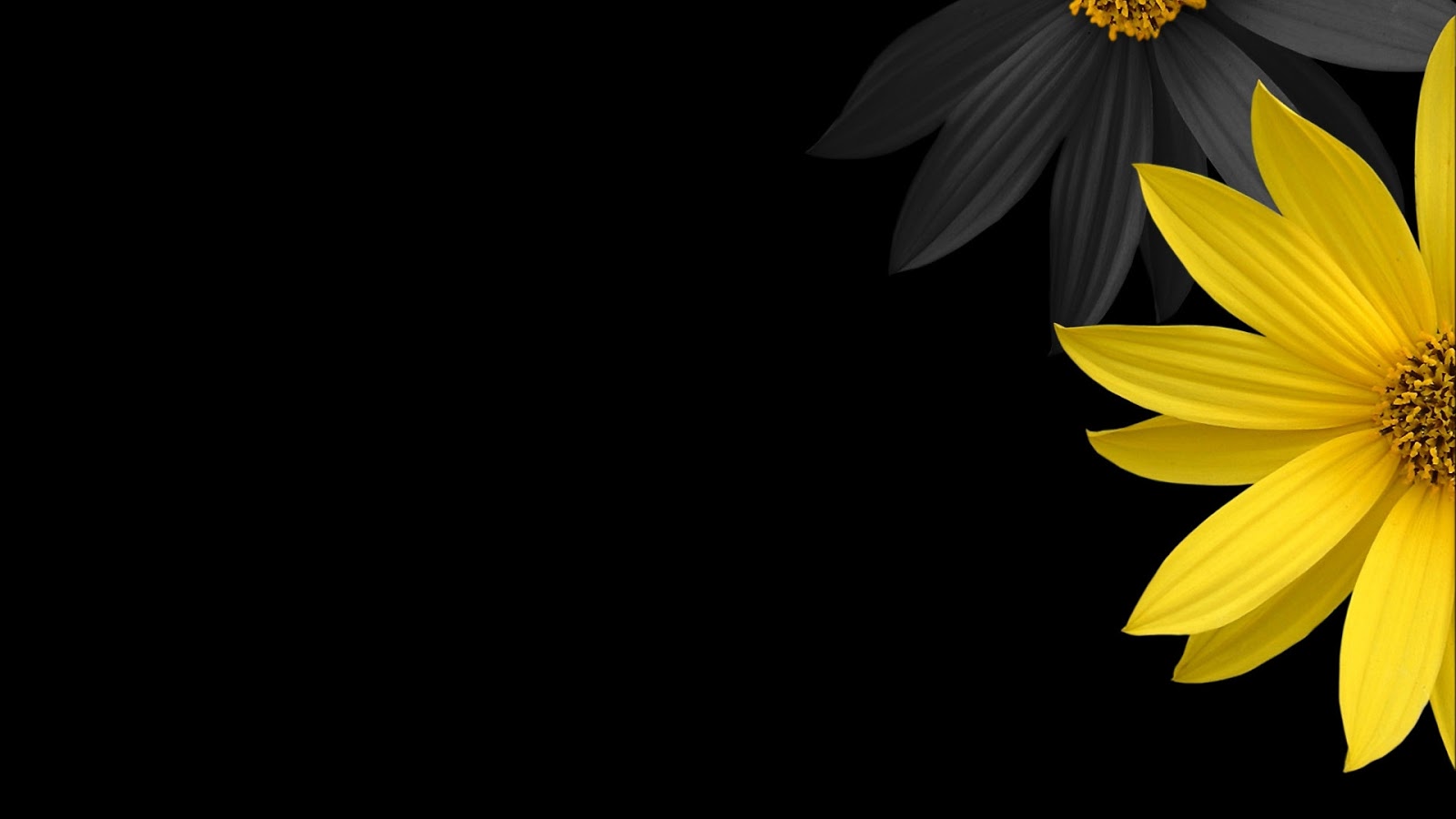 hd backgrounds 1080p black