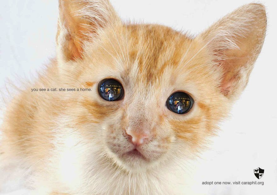 You See A Dog. He Sees A Home - 33 Powerful Animal Ad Campaigns That Tell The Uncomfortable Truth You See A Dog. He Sees A Home - 33 Powerful Animal Ad Campaigns That Tell The Uncomfortable Truth