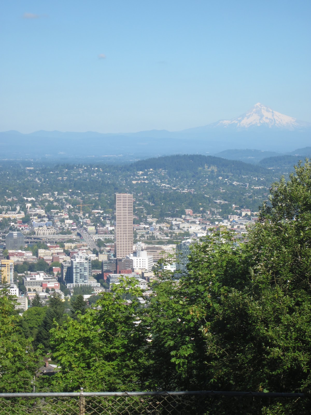 [Image: IMG_1804.JPG]