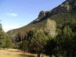 Ramsey Canyon