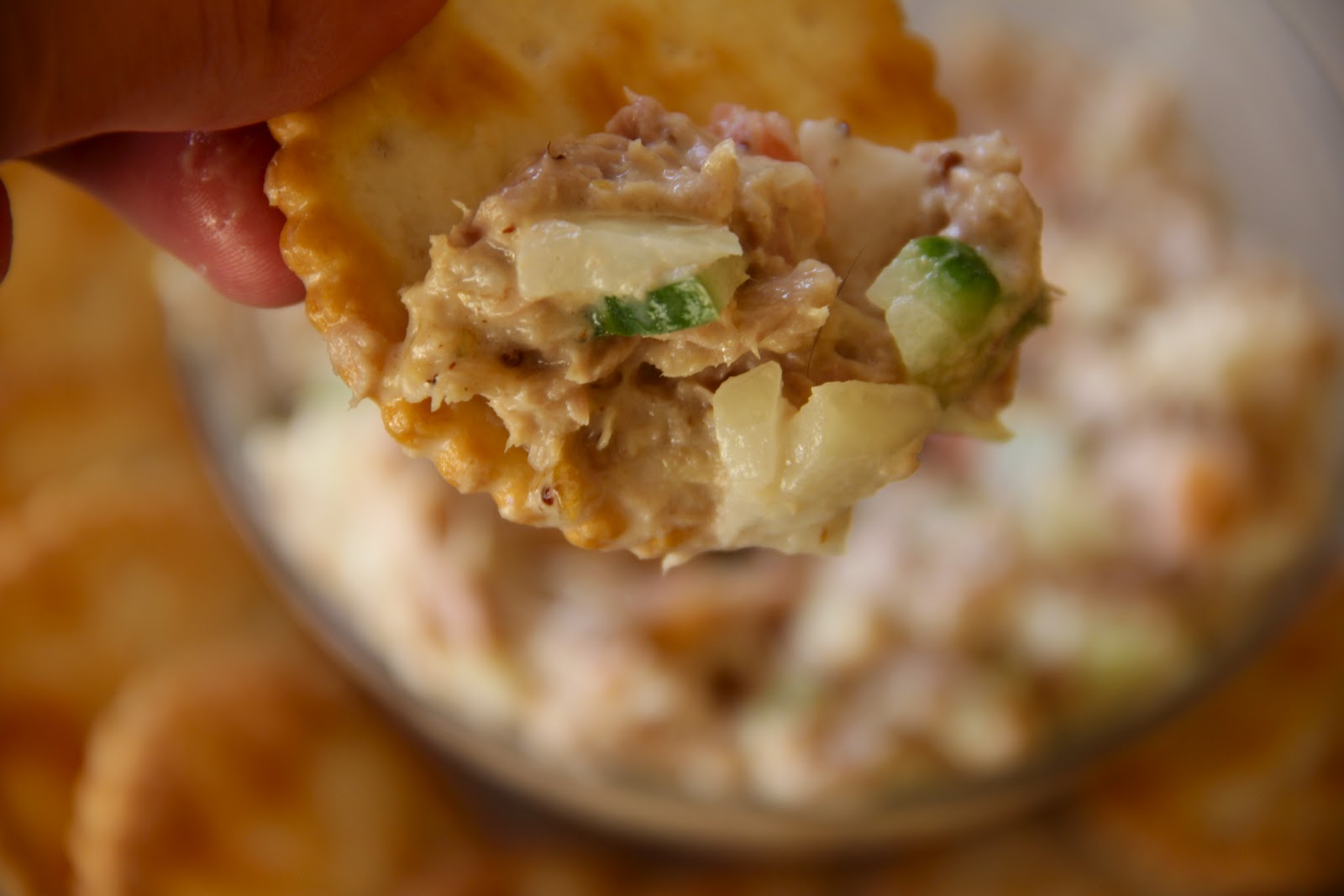 My Happy Place Tuna Salad Dip