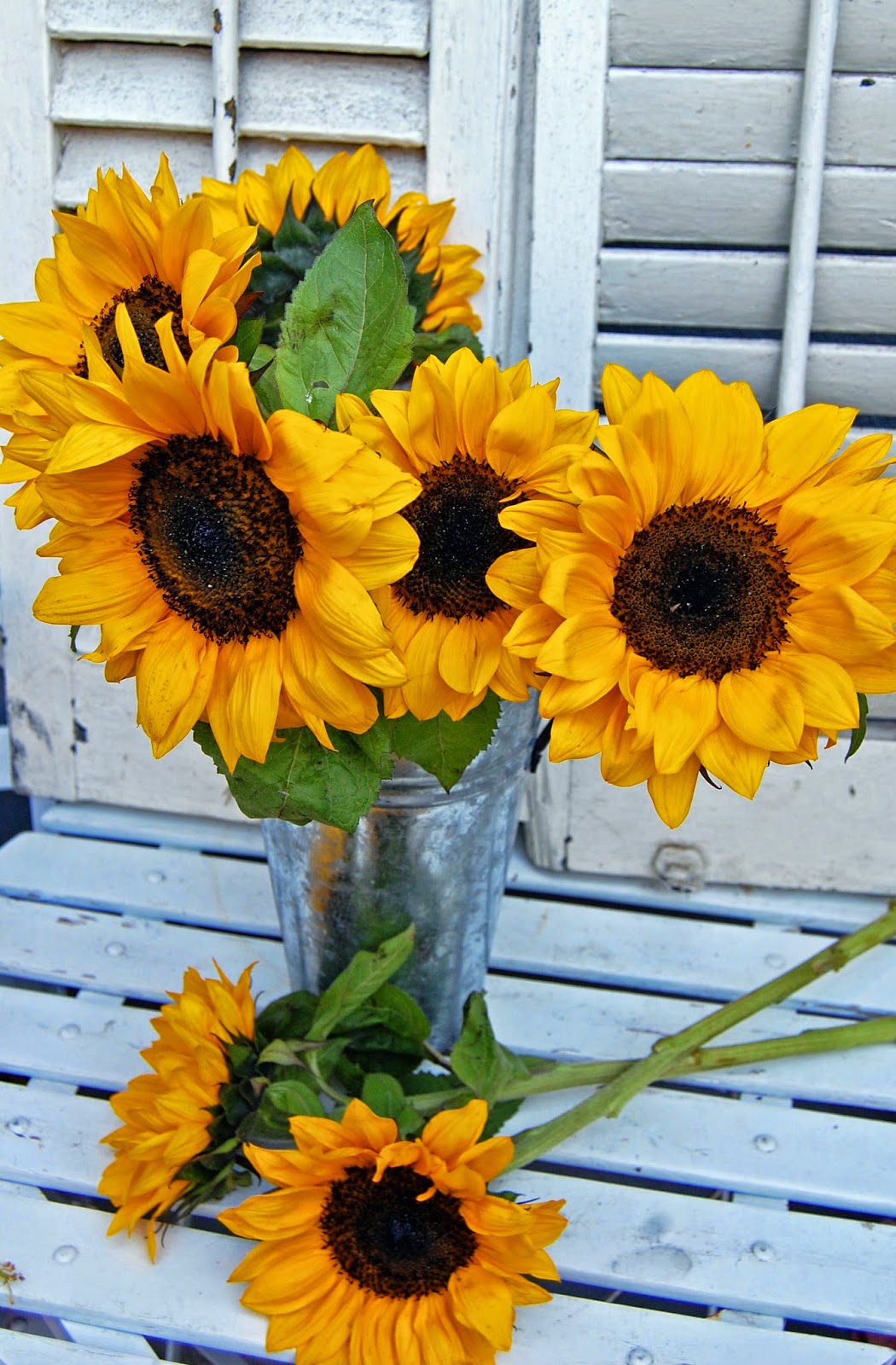 My Painted Garden Sunflowers Roses And Pansies A New Painting