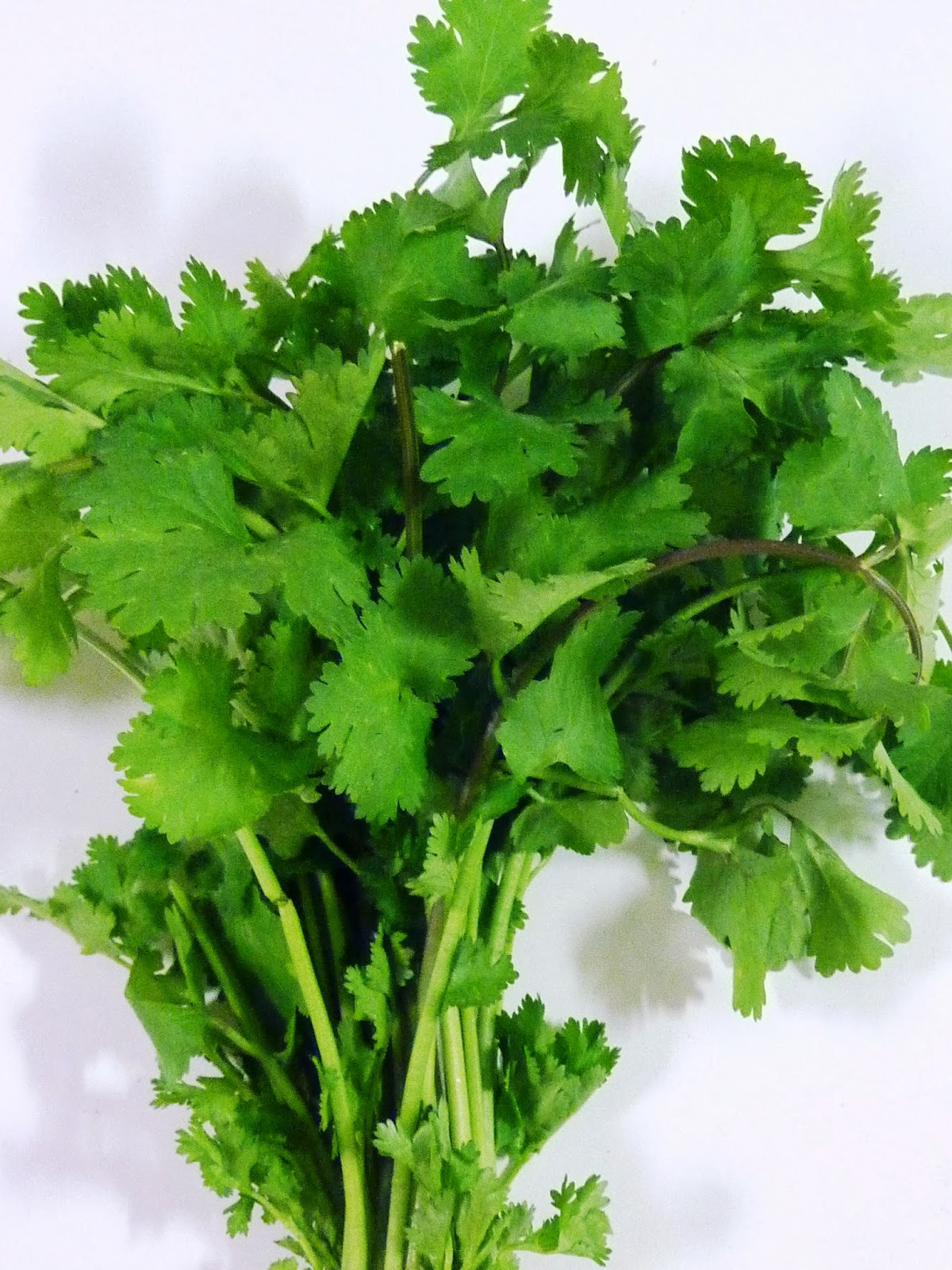 Amazing Health Benefits of Coriander