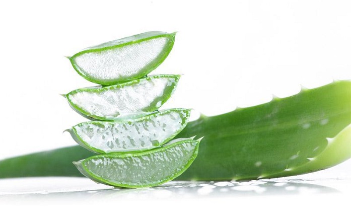 Benefits of Aloe Vera &amp; 7 Face Packs for Fair and Radiant Skin 
