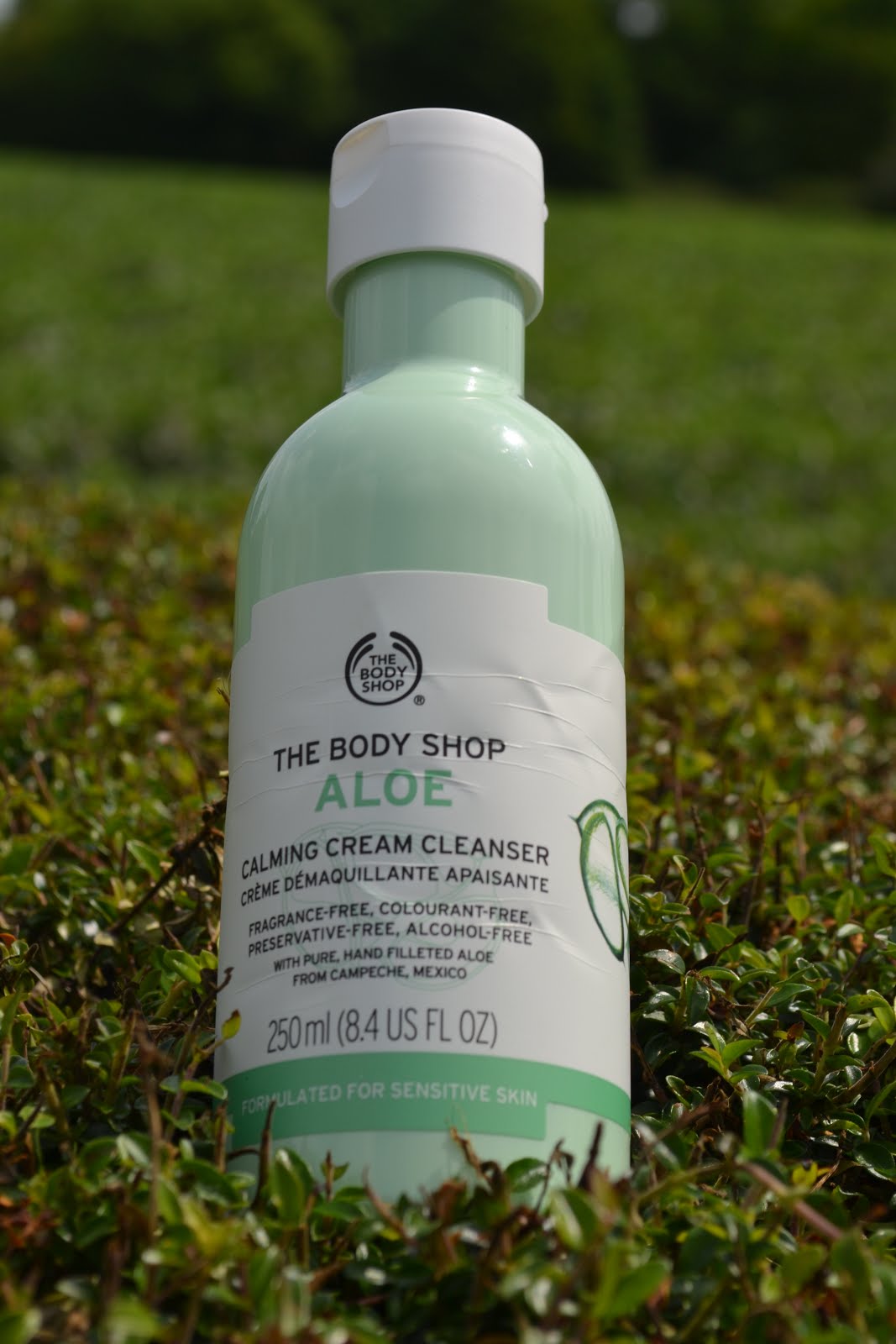 Rosie Alyce The Body Shop Aloe Skin Range