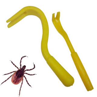 Image: Free Tick Removal Kit