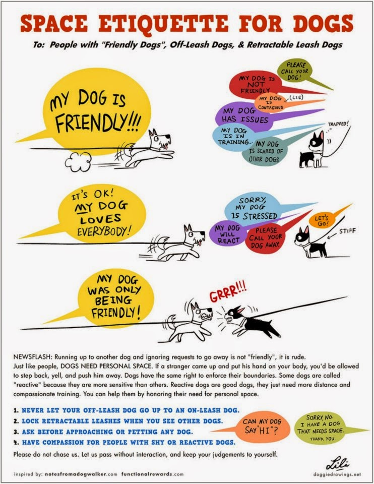 News What does a yellow ribbon on a leash mean?