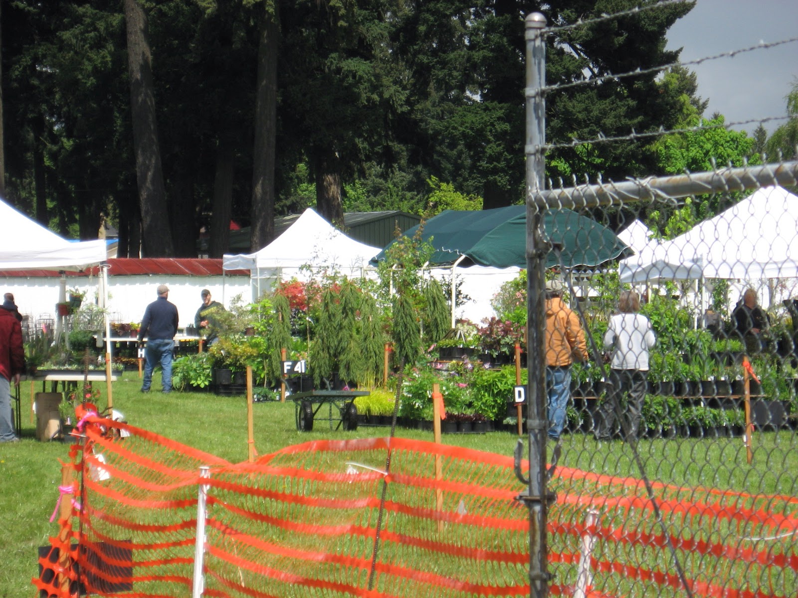 Running With Rocket Canby Master Gardener Plant Sale