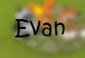 Evan the Snow Leopard