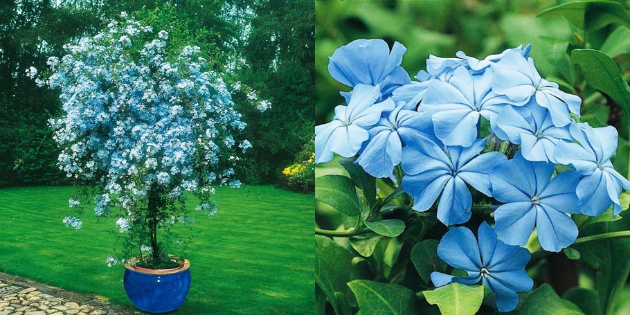 Lovely Lifestyle Poetschke De