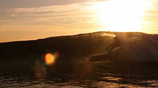 surfin estate blog surf culture trend music art surfboard longboard skateboard jared mell alex knost justin quintal colin whitbread insight51 RVCA brwon microwave television dano raen vans