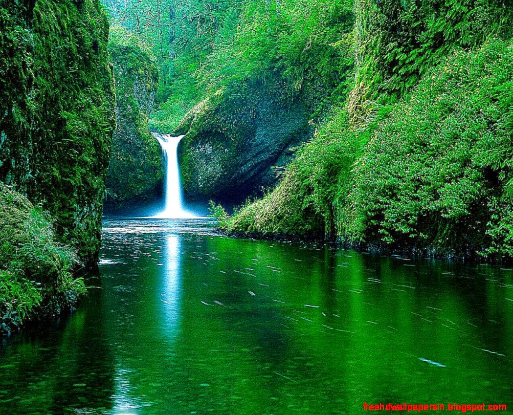 nature wallpaper hd nature wallpaper hd