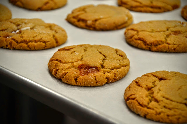 Apple Cider Molasses Cookie with Burnt Sugar Bits | Cheesy Pennies