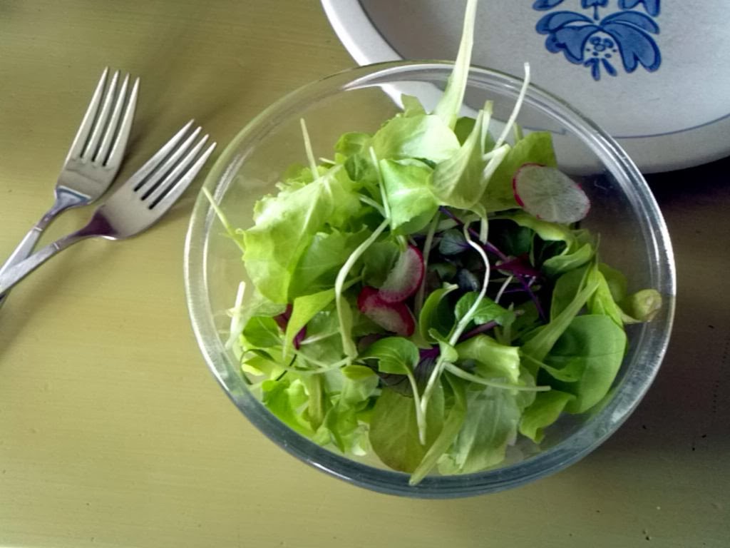 Alimentacion saludable para bajar de peso alimentacion saludable para bajar de peso