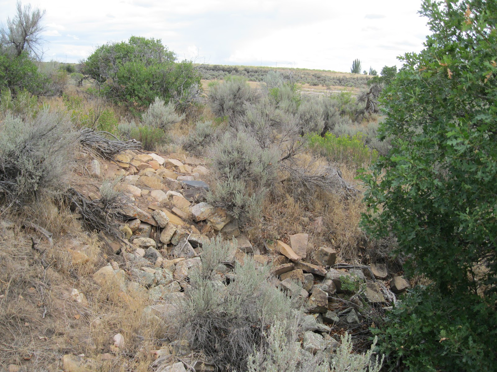 Four Corners HikesCanyons of the Ancients Yellow Jacket Pueblo