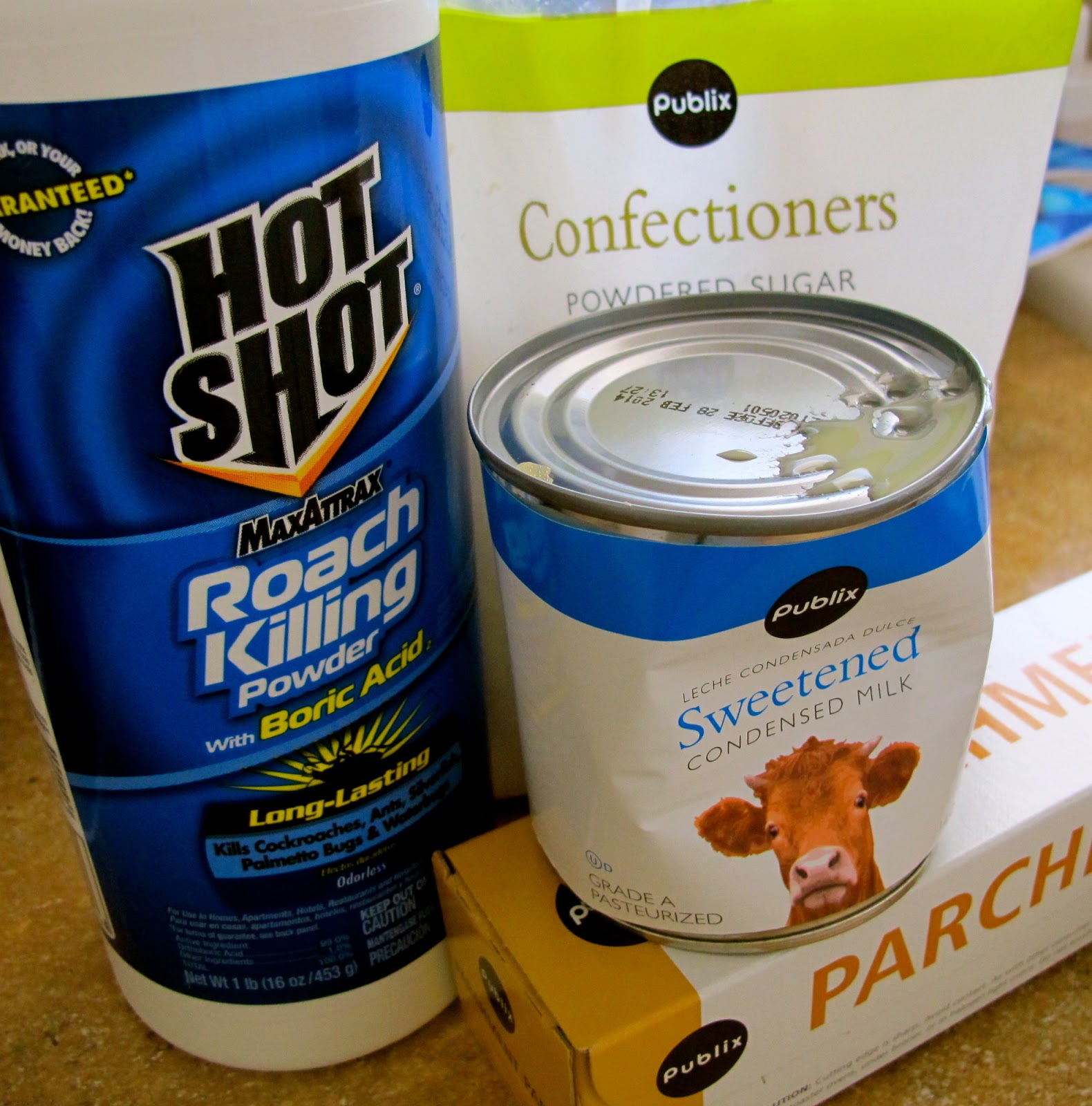 What To Do When A Pet Rat Dies at Ralph Thurber blog