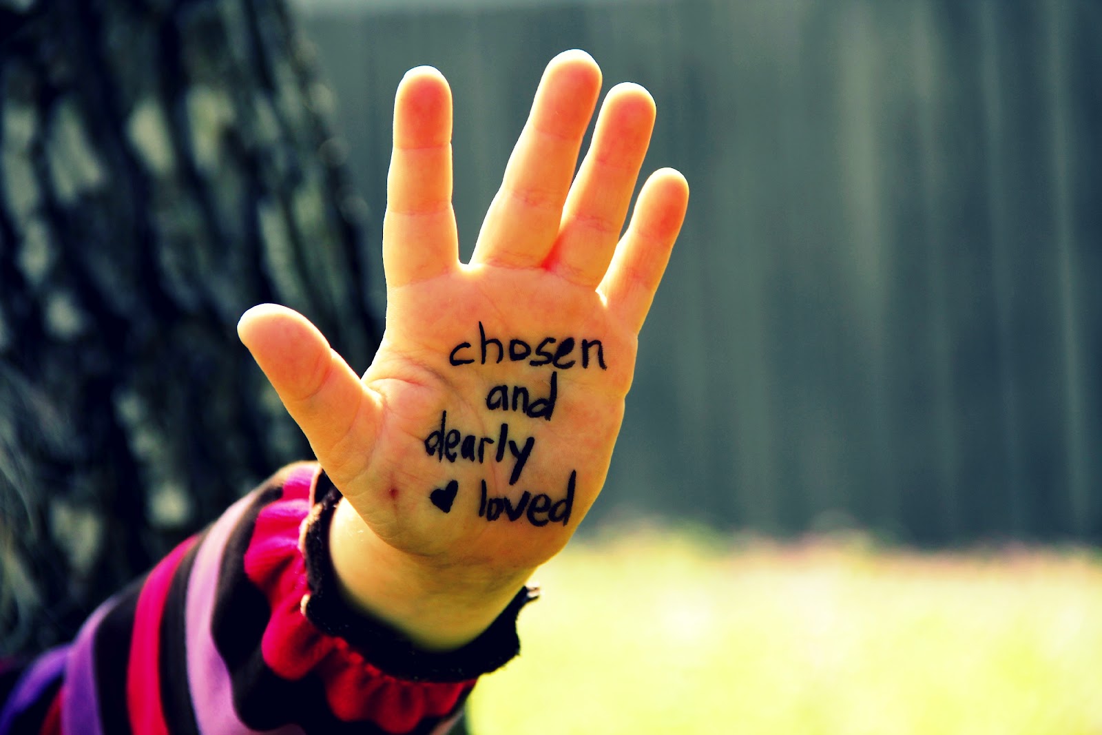 Imperfect Treasures Chosen and Dearly Loved