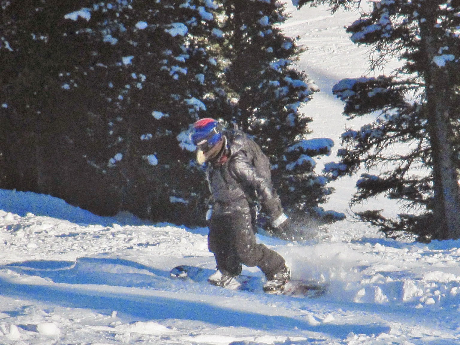 MJ HALL / FAT TIRE BIKE MOTORCYCLE SNOWBOARD & SNOWMOBILE