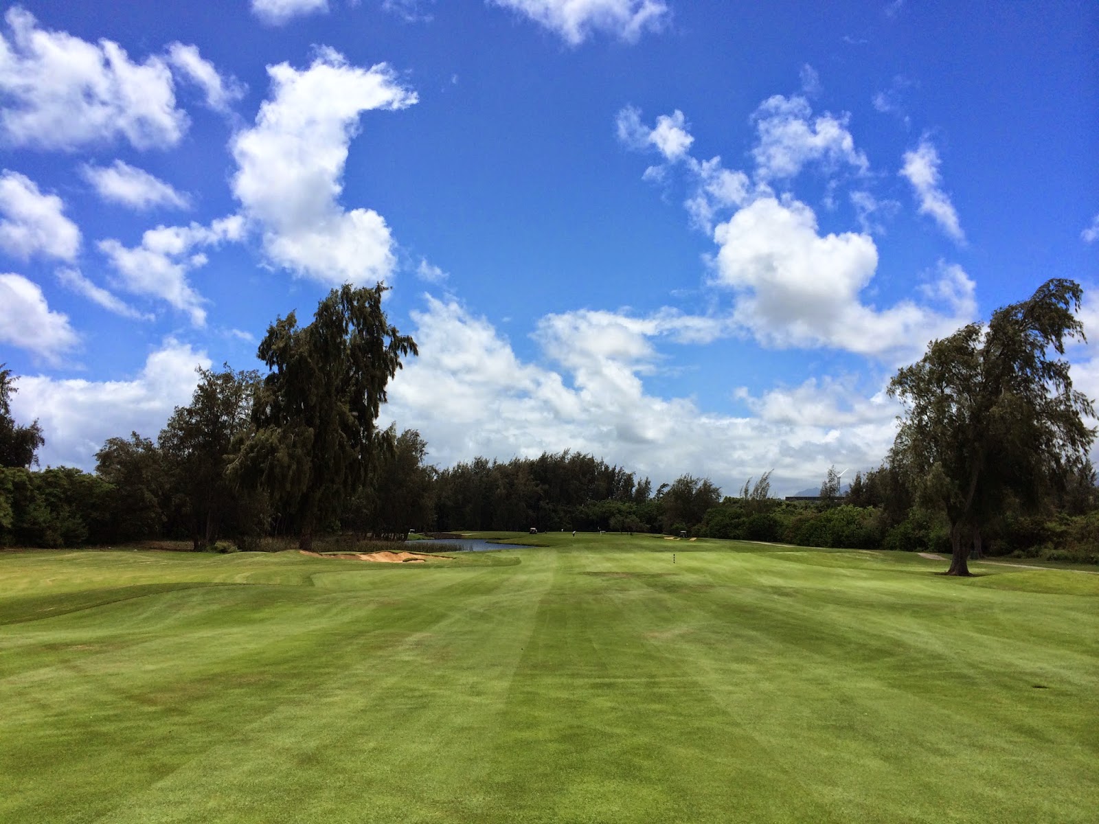 TASTE OF HAWAII: TURTLE BAY GOLF RESORT - THE PALMER COURSE