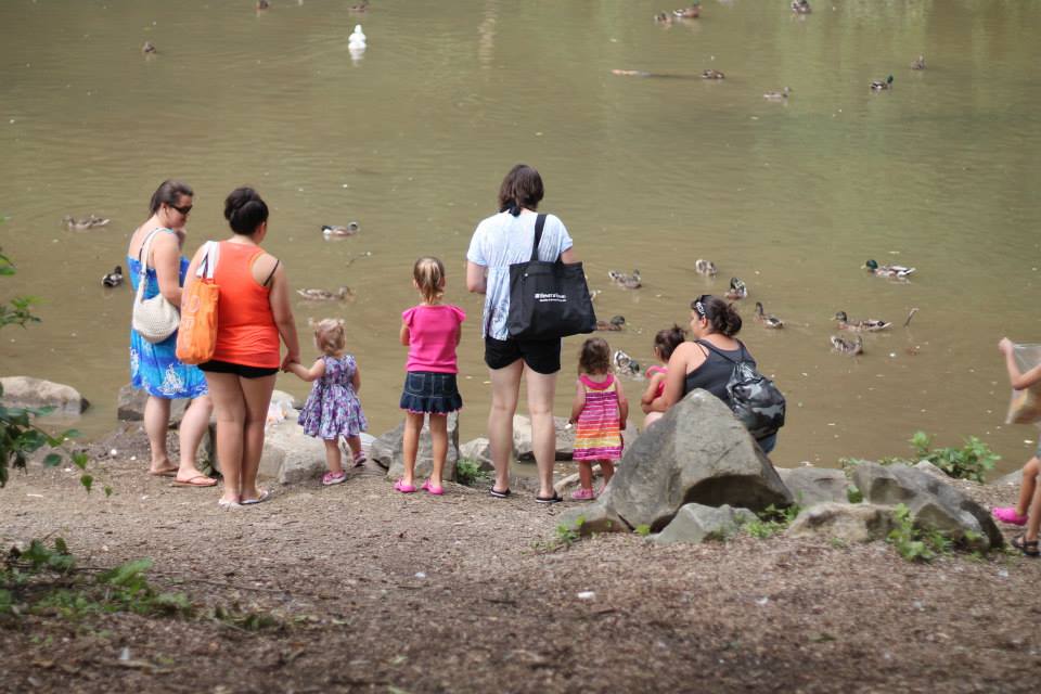 Duck Pond, Elizabeth PA, Round Hill Farm, RoundHill Park, Feeding Ducks