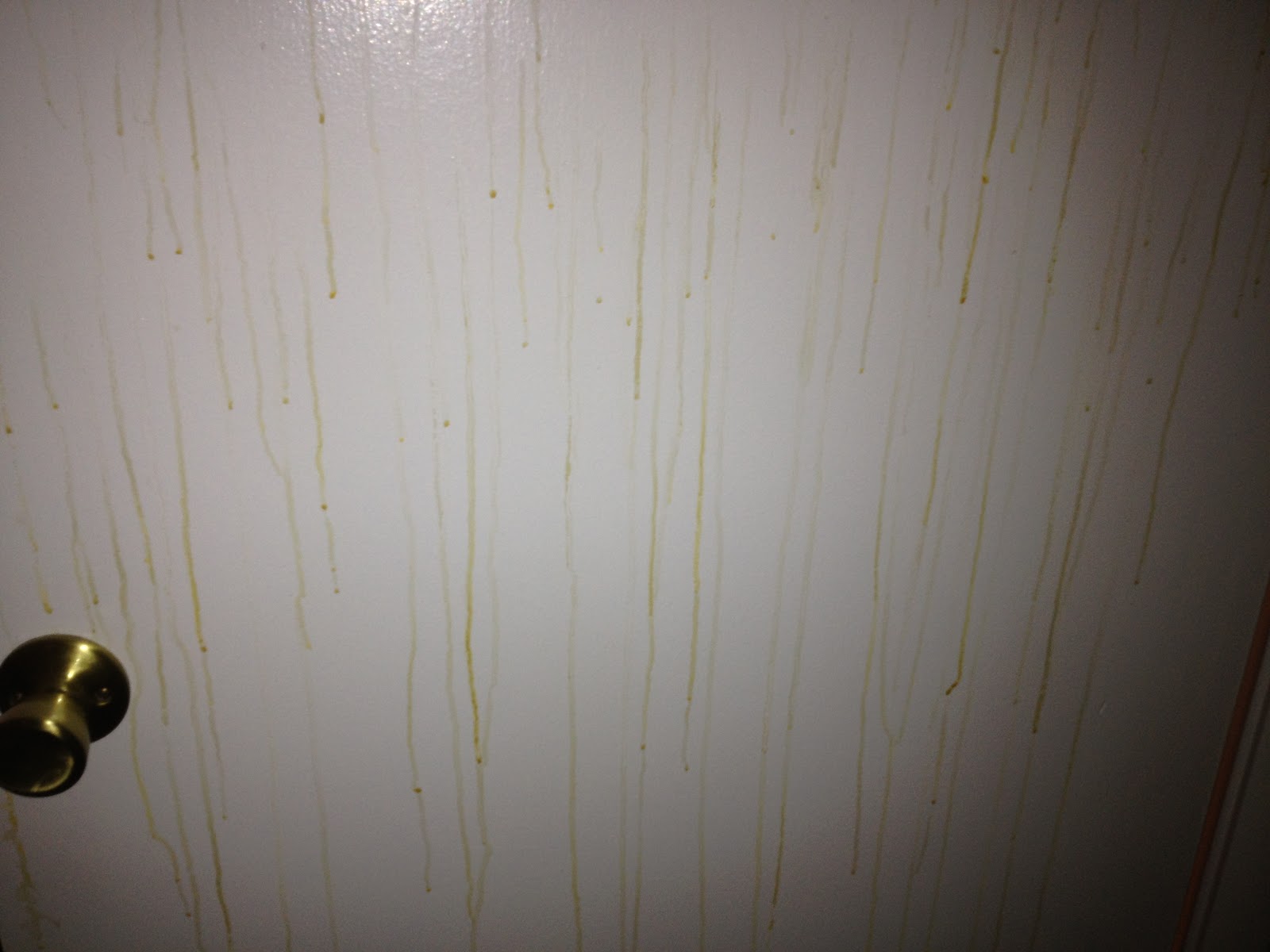 Homemaking Challenged Nicotine stains