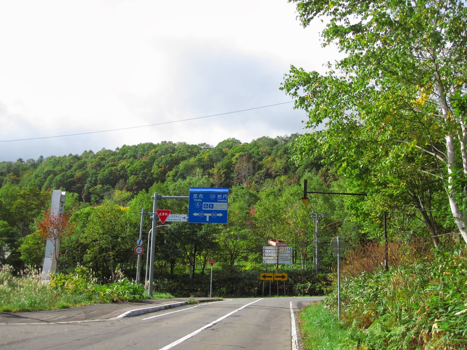 バケーションニセコ ブログ ニセコパノラマライン 今が紅葉の見頃です