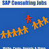 $100 Per Hour SAP Consulting Jobs - Free Kindle Fiction