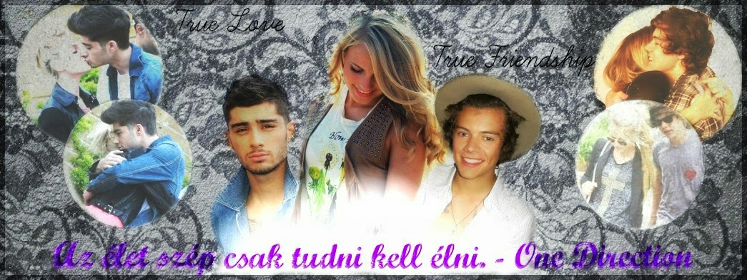 Az élet szép, csak tudni kell élni.~ One Direction /Befejezett/