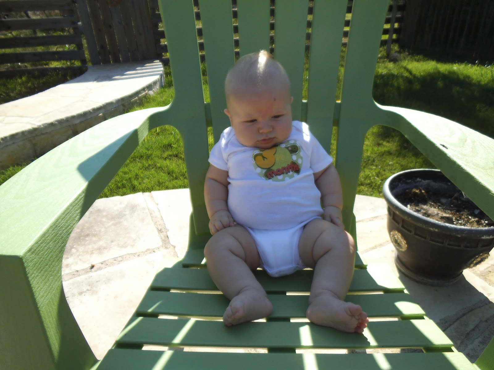 Holden Gray