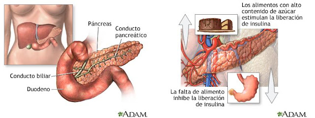 DIABETES: qué es, cómo prevenirla y cómo vivir con ella ...