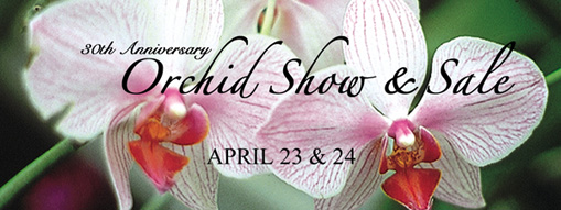 Flamingo Gardens Orchid Show Easter Bunny And Coupon Keeping Up
