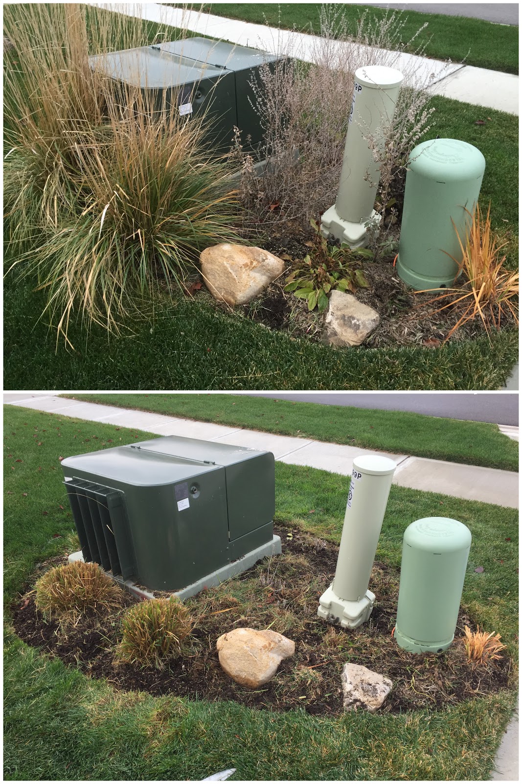 Trying to Stay Green During December Heat Wave [Backyard Neophyte