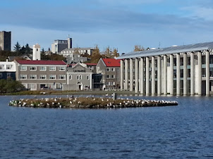 Reykjavíkurtjörn