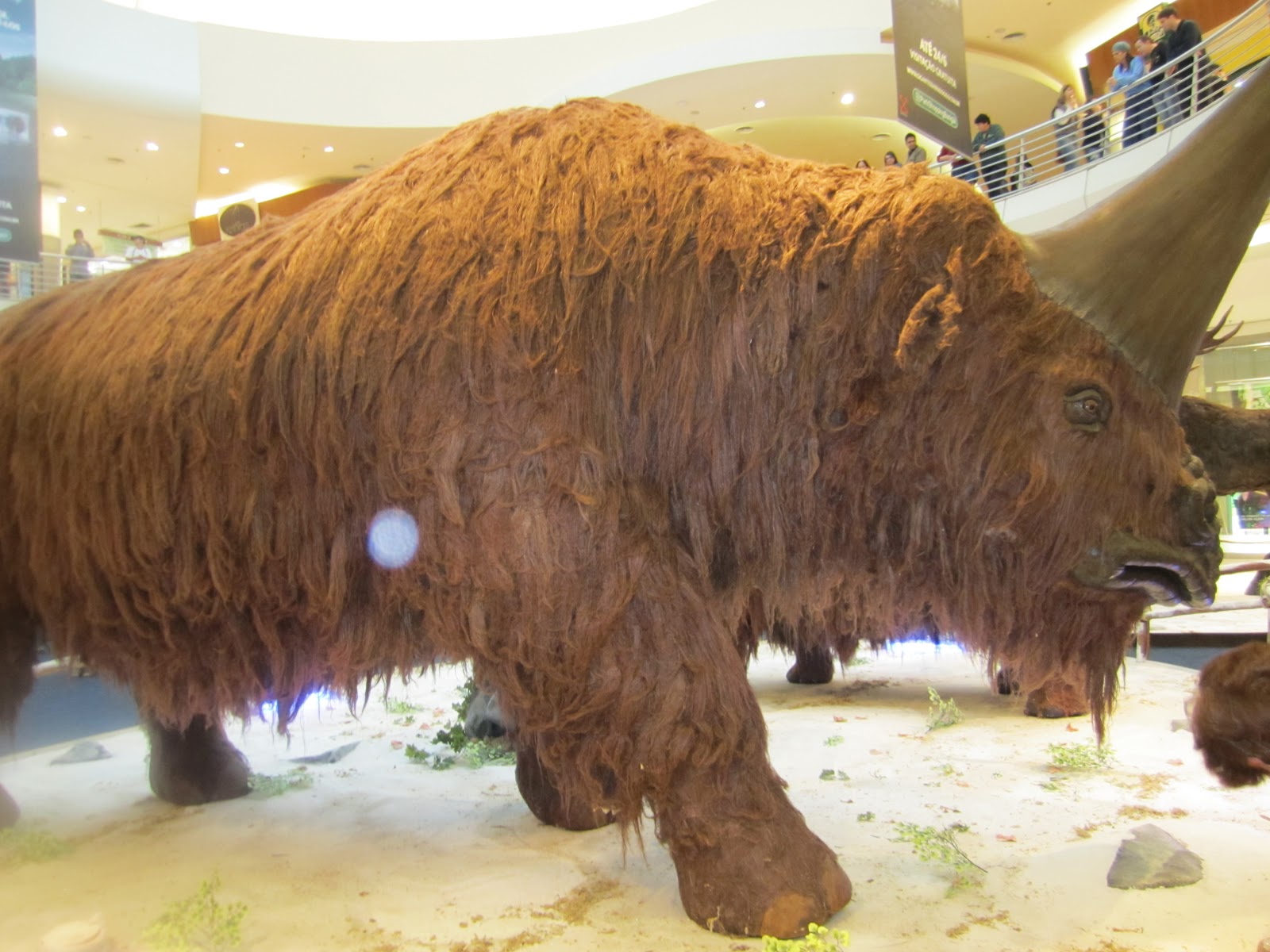 Soup for our Soul ICE AGE ANIMALS