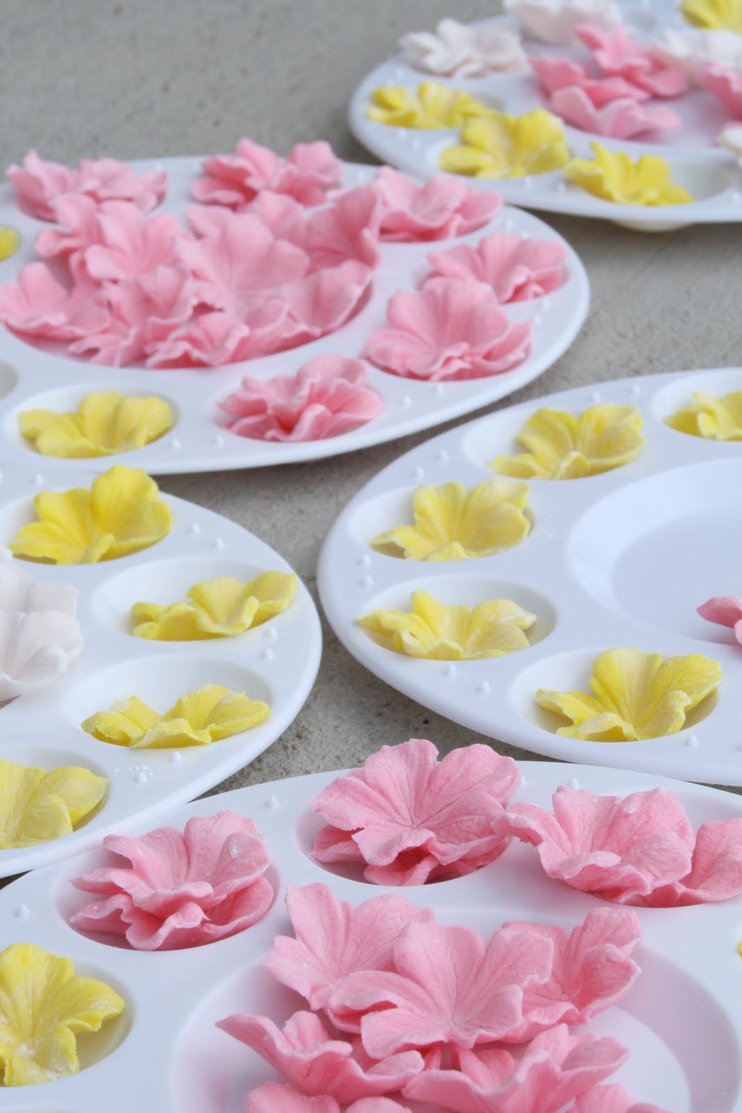 Natalie's Cake Pops Gum Paste Flowers