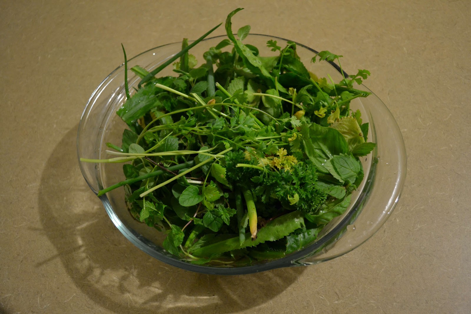 Container Gardening in Puerto Rico Trim and Cook Sofrito